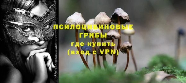 сатива Алексин