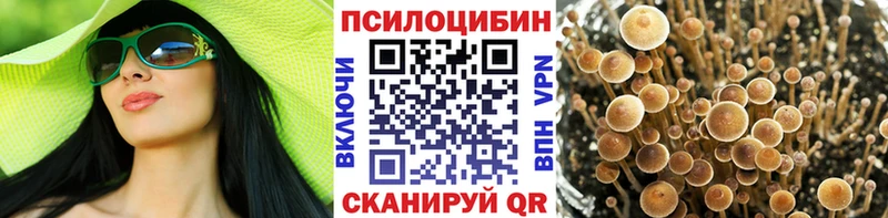 Псилоцибиновые грибы прущие грибы Усолье-Сибирское