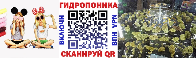 Бошки марихуана Amnesia Усолье-Сибирское